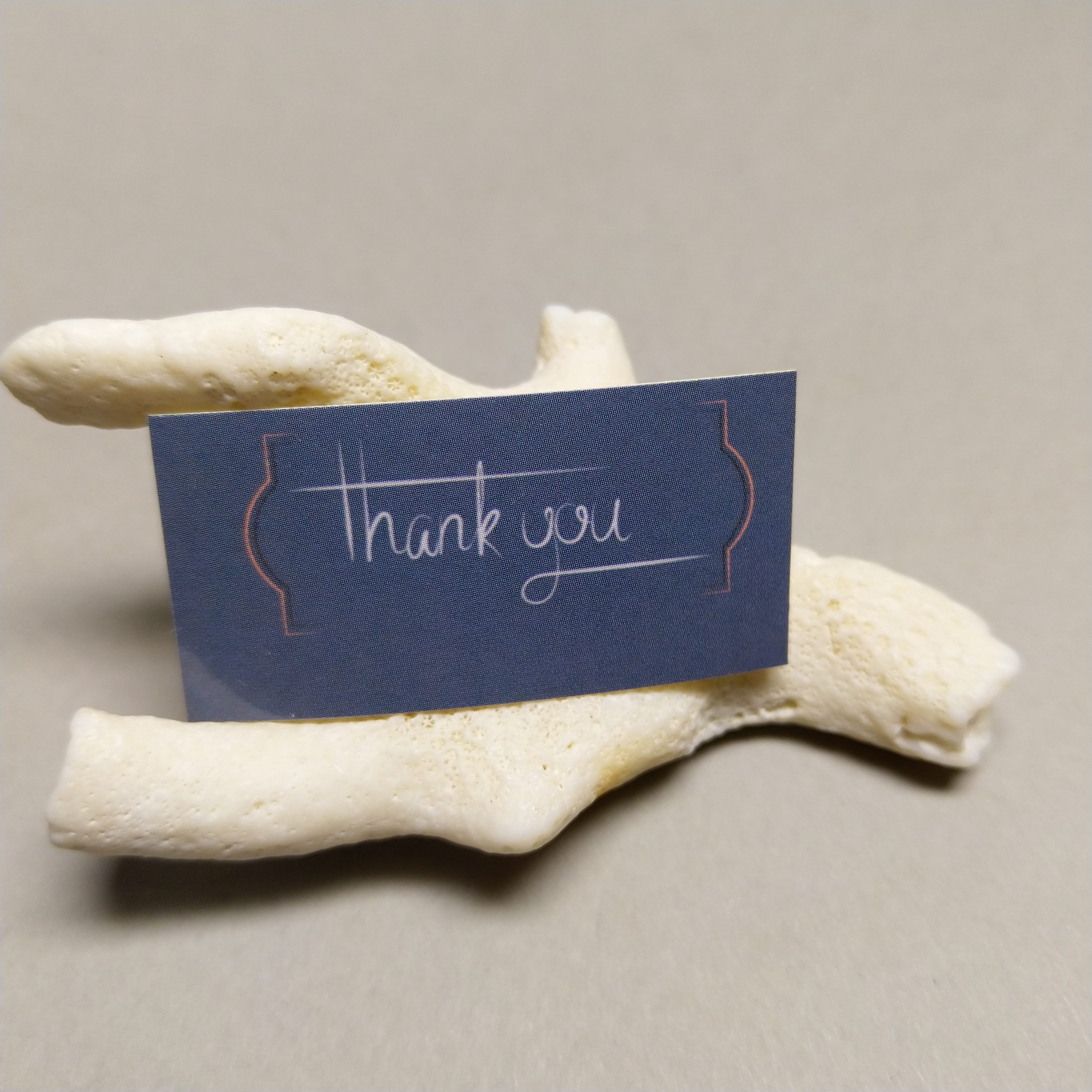 کد 18: سایز ۲* ۴ سلفون براق بسته ۵۰ عددی